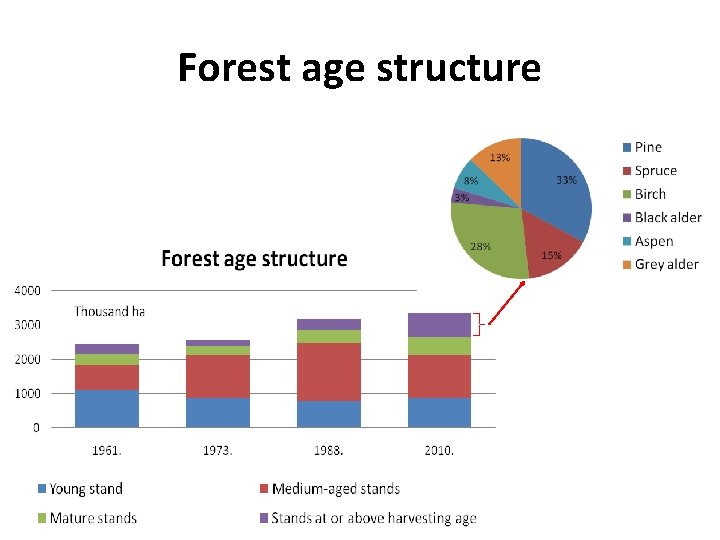 Forest age structure 