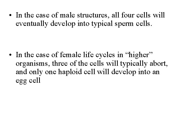  • In the case of male structures, all four cells will eventually develop