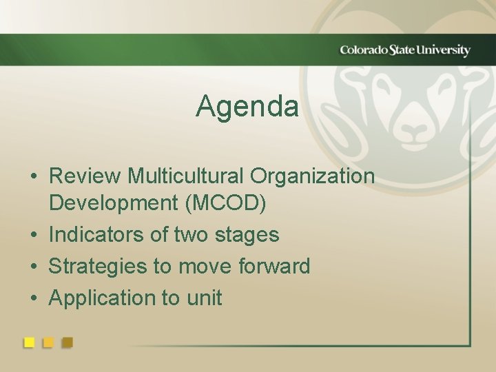 Agenda • Review Multicultural Organization Development (MCOD) • Indicators of two stages • Strategies