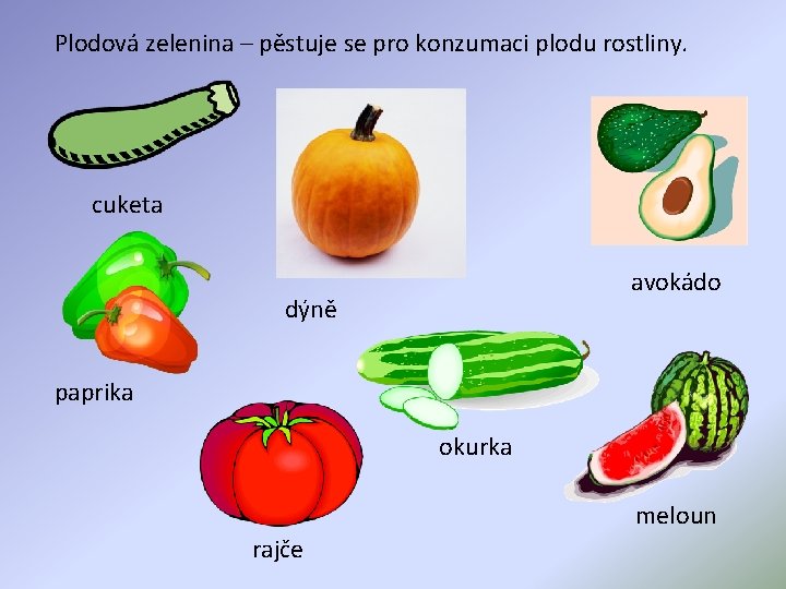 Plodová zelenina – pěstuje se pro konzumaci plodu rostliny. cuketa avokádo dýně paprika okurka