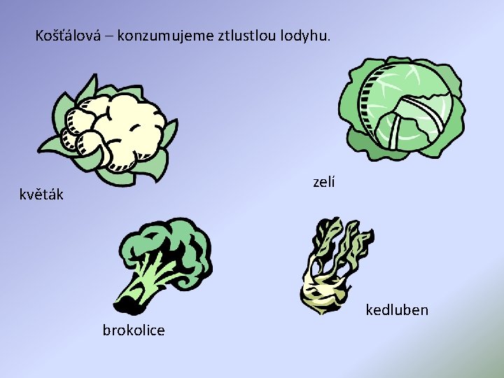 Košťálová – konzumujeme ztlustlou lodyhu. zelí květák brokolice kedluben 