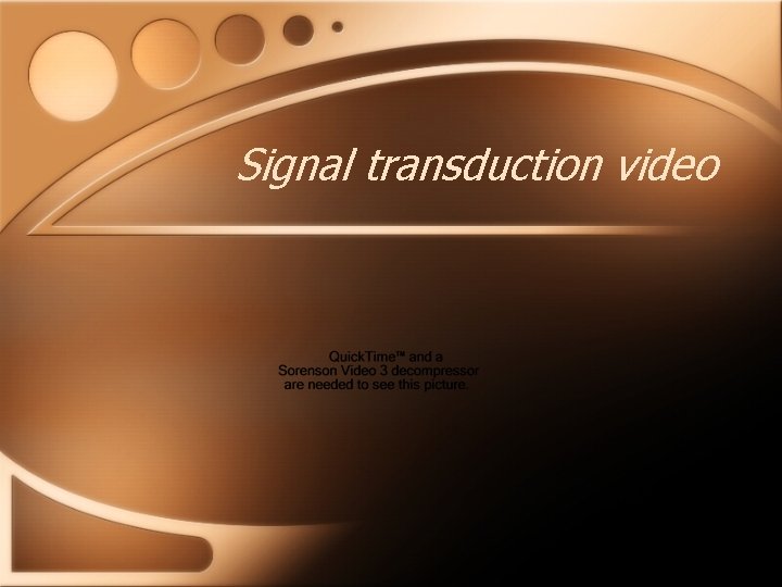 Signal transduction video 