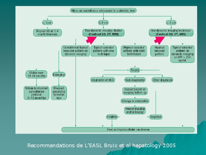Recommandations de L’EASL Bruix et al hepatology 2005 