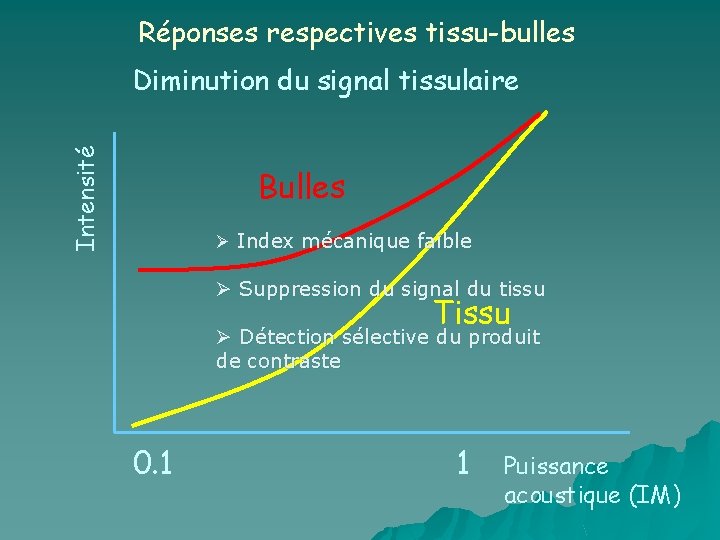 Réponses respectives tissu-bulles Intensité Diminution du signal tissulaire Bulles Ø Index mécanique faible Ø