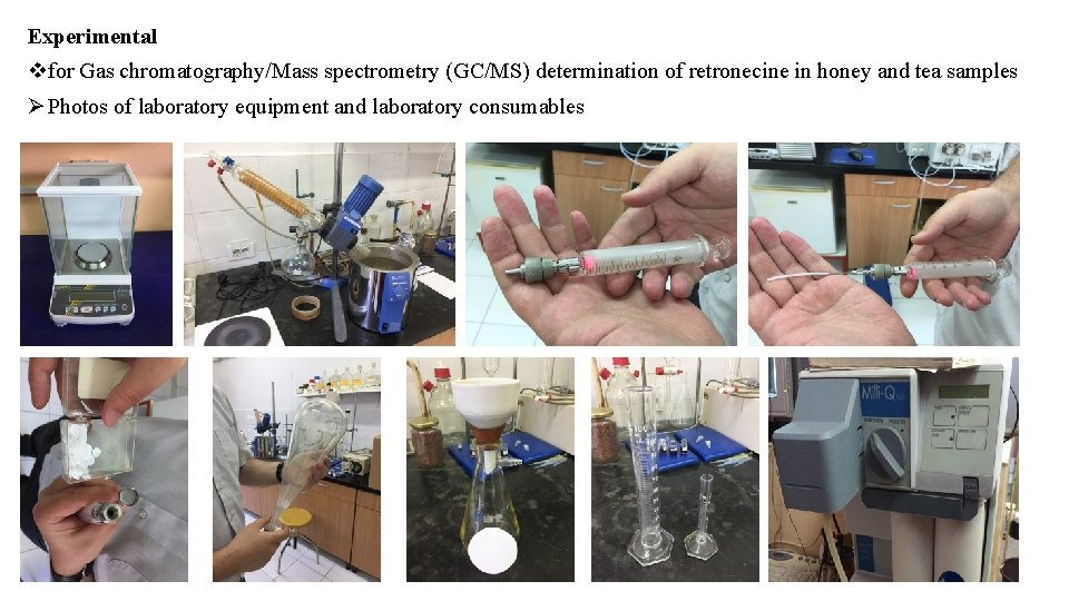 Experimental vfor Gas chromatography/Mass spectrometry (GC/MS) determination of retronecine in honey and tea samples