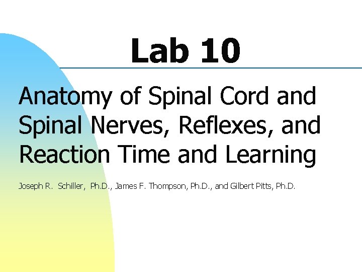 Lab 10 Anatomy of Spinal Cord and Spinal Nerves, Reflexes, and Reaction Time and