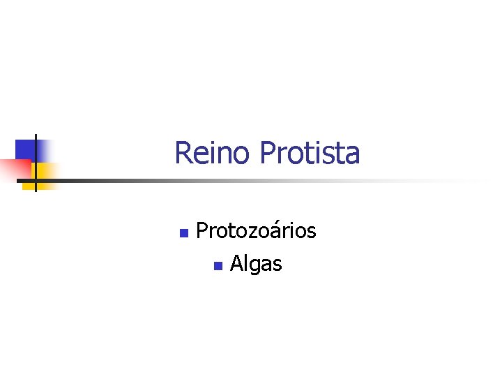 Reino Protista n Protozoários n Algas 