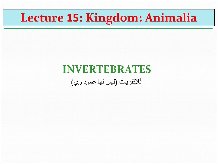 Lecture 15: Kingdom: Animalia INVERTEBRATES ( ﺍﻟﻼﻓﻘﺮﻳﺎﺕ )ﻟﻴﺲ ﻟﻬﺎ ﻋﻤﻮﺩ ﺭﻱ 