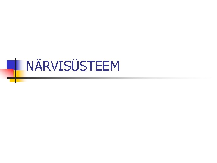 NÄRVISÜSTEEM 