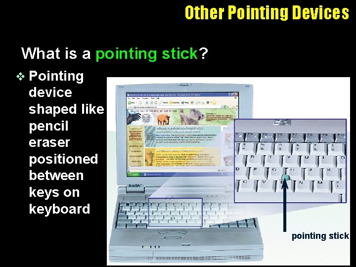 Other Pointing Devices What is a pointing stick? v Pointing device shaped like pencil