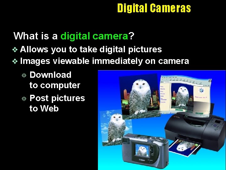 Digital Cameras What is a digital camera? v Allows you to take digital pictures