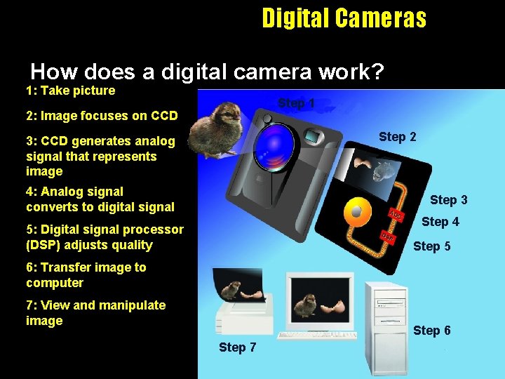 Digital Cameras How does a digital camera work? 1: Take picture Step 1 2: