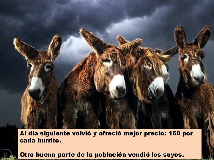 Al día siguiente volvió y ofreció mejor precio: 150 por cada burrito. Otra buena