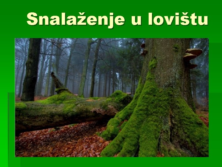 Snalaženje u lovištu 