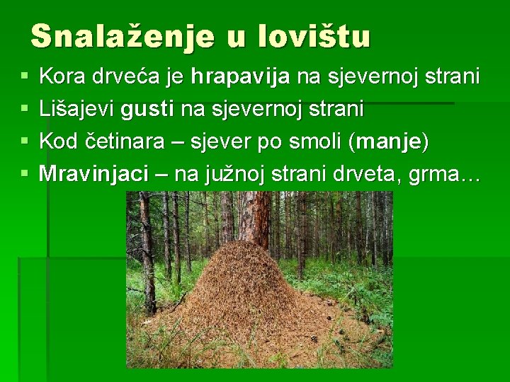 Snalaženje u lovištu § § Kora drveća je hrapavija na sjevernoj strani Lišajevi gusti