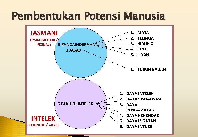 Pembentukan Potensi Manusia JASMANI (PSIKOMOTOR / FIZIKAL) 5 PANCAINDERA 1 JASAD 1. 2. 3.