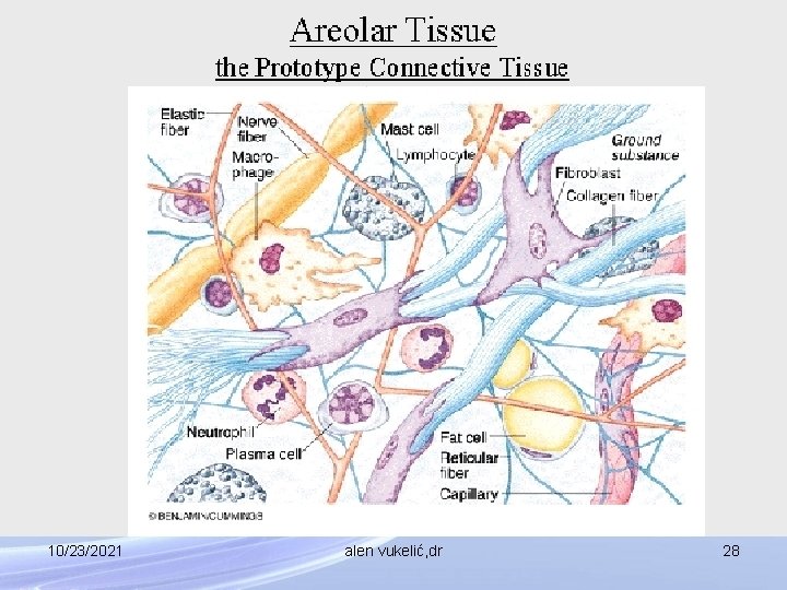10/23/2021 alen vukelić, dr 28 