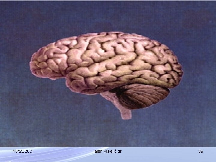 10/23/2021 alen vukelić, dr 36 