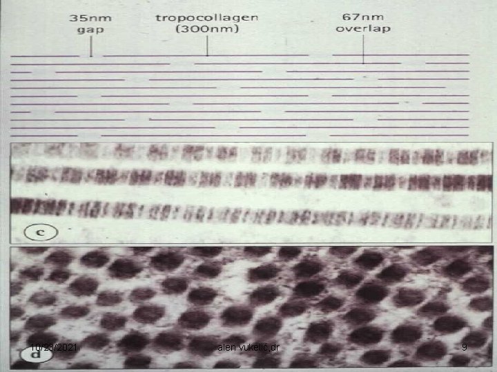 10/23/2021 alen vukelić, dr 9 