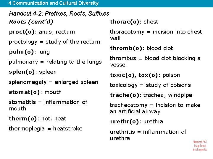 4 Communication and Cultural Diversity Handout 4 -2: Prefixes, Roots, Suffixes Roots (cont’d) thorac(o):