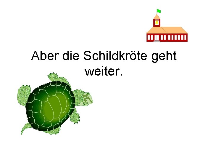 Aber die Schildkröte geht weiter. 