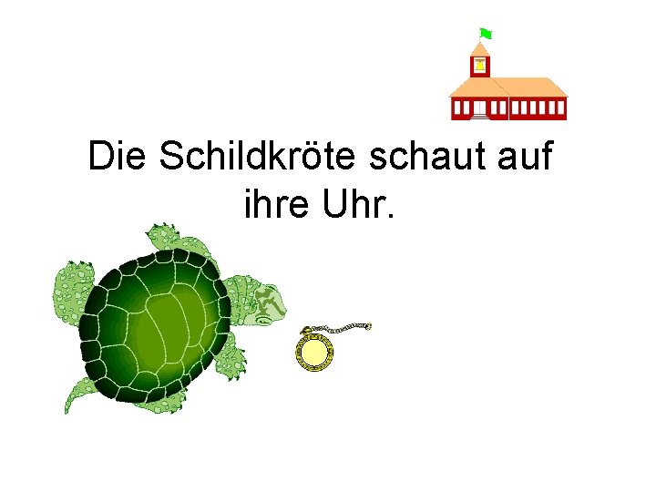 Die Schildkröte schaut auf ihre Uhr. 