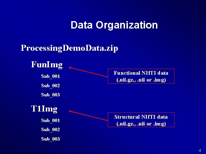 Data Organization Processing. Demo. Data. zip Fun. Img Sub_001 Sub_002 Functional NIf. TI data