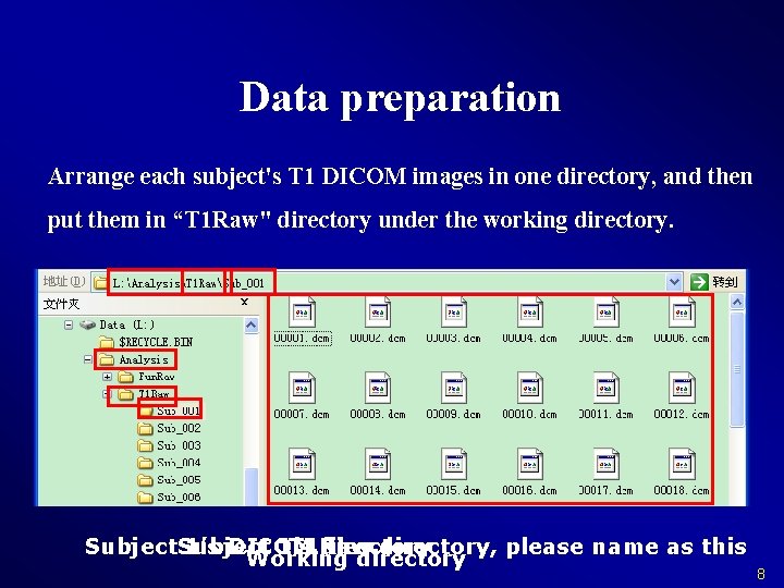 Data preparation Arrange each subject's T 1 DICOM images in one directory, and then