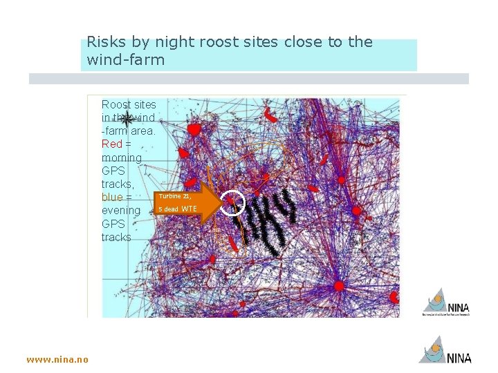 Risks by night roost sites close to the wind-farm Roost sites in the wind