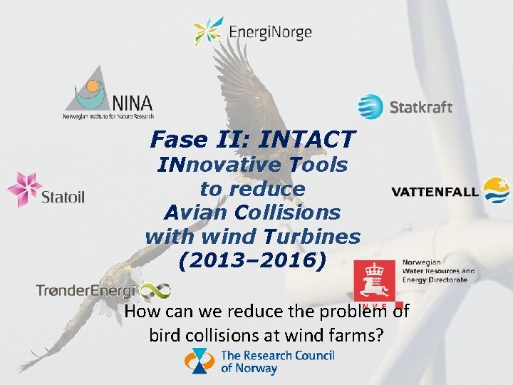 Fase II: INTACT INnovative Tools to reduce Avian Collisions with wind Turbines (2013– 2016)