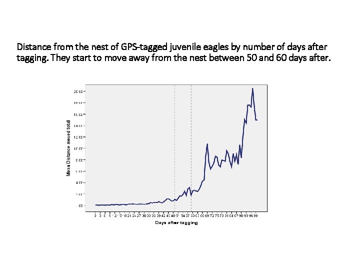 Distance from the nest of GPS-tagged juvenile eagles by number of days after tagging.