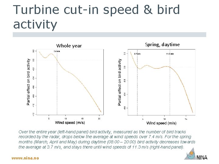 Turbine cut-in speed & bird activity Whole year Spring, daytime Over the entire year