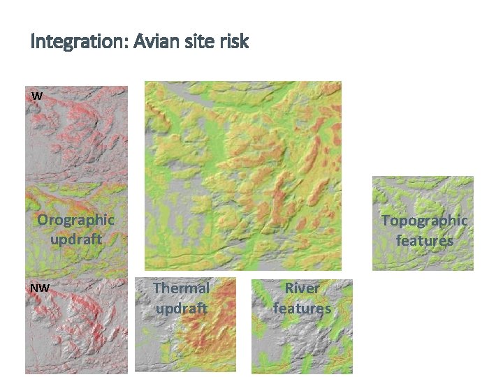 Integration: Avian site risk W SW Orographic updraft NW Topographic features Thermal updraft River