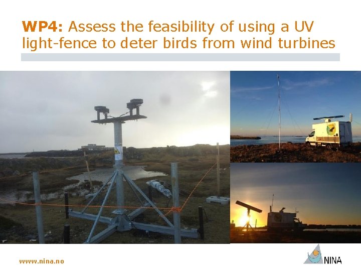 WP 4: Assess the feasibility of using a UV light-fence to deter birds from