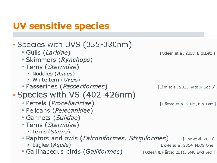 UV sensitive species • Species with UVS (355 -380 nm) Gulls (Laridae) Skimmers (Rynchops)