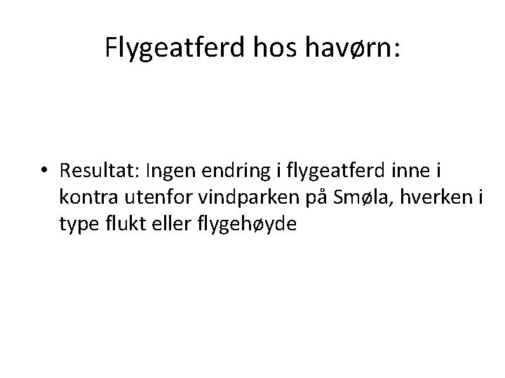 Flygeatferd hos havørn: • Resultat: Ingen endring i flygeatferd inne i kontra utenfor vindparken