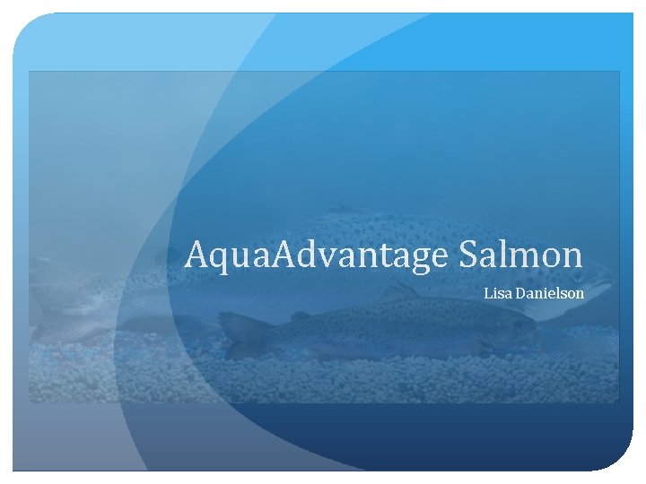 Aqua. Advantage Salmon Lisa Danielson 