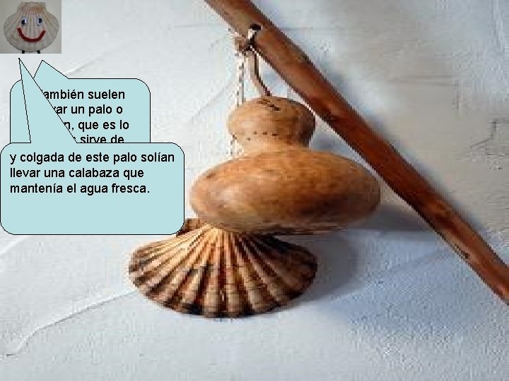 También suelen llevar un palo o bordón, que es lo que les sirve de También suelen llevar un palo o bordón, que es lo que les sirve de