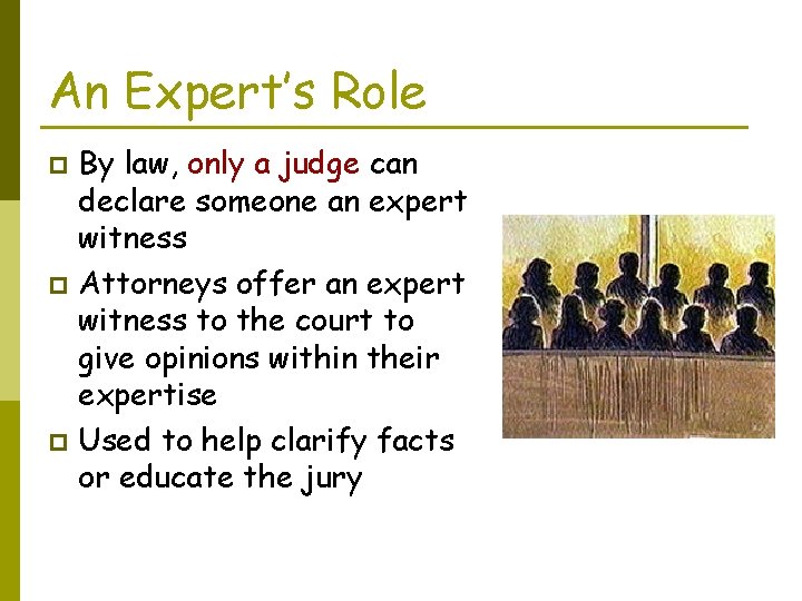 An Expert’s Role By law, only a judge can declare someone an expert witness