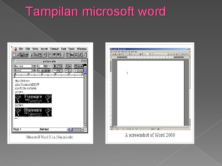 Tampilan microsoft word 
