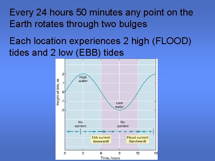 Every 24 hours 50 minutes any point on the Earth rotates through two bulges