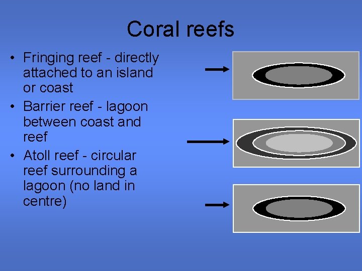 Coral reefs • Fringing reef - directly attached to an island or coast •