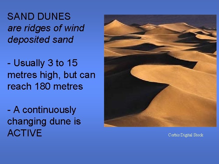 SAND DUNES are ridges of wind deposited sand - Usually 3 to 15 metres