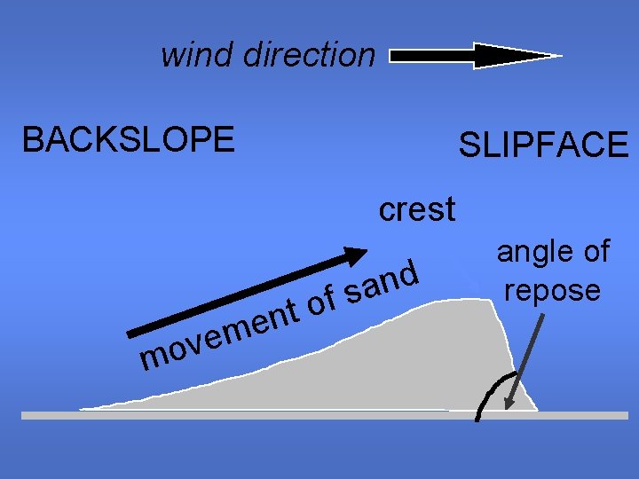 wind direction BACKSLOPE SLIPFACE crest t n e m e v mo d n