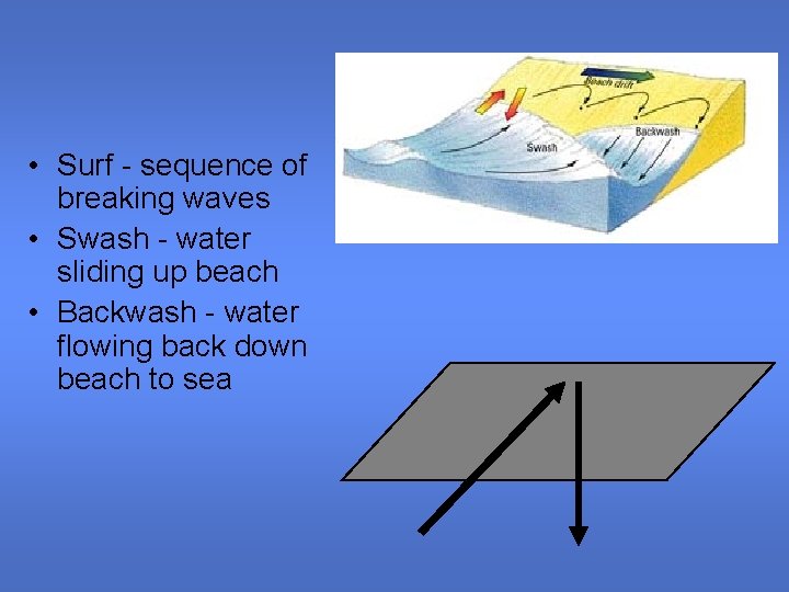  • Surf - sequence of breaking waves • Swash - water sliding up