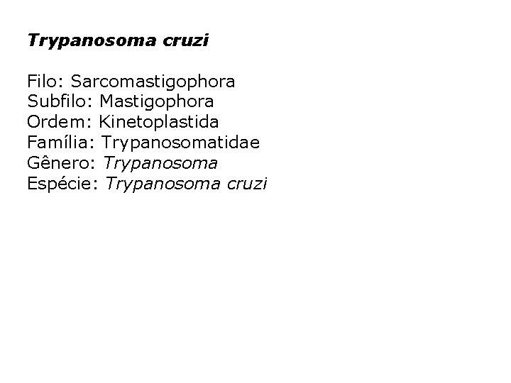 Trypanosoma cruzi Filo: Sarcomastigophora Subfilo: Mastigophora Ordem: Kinetoplastida Família: Trypanosomatidae Gênero: Trypanosoma Espécie: Trypanosoma