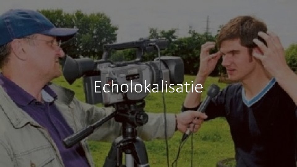 Echolokalisatie 