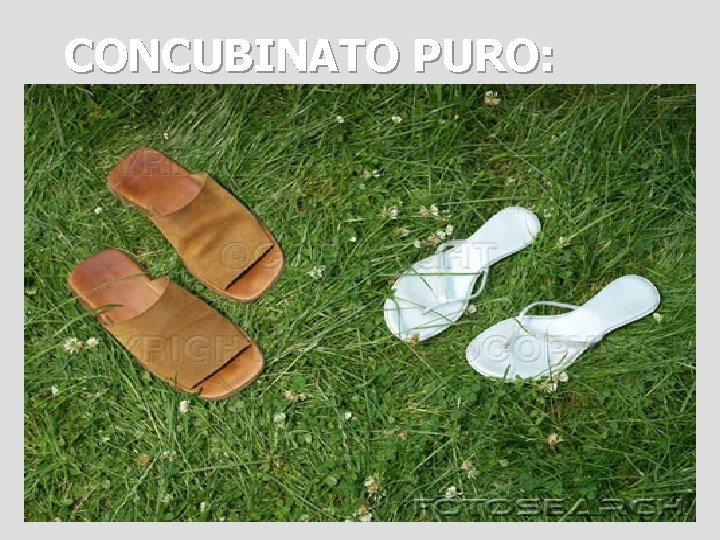 CONCUBINATO PURO: 