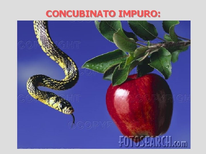 CONCUBINATO IMPURO: 