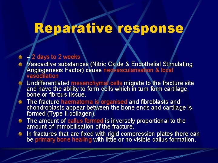 Reparative response – 2 days to 2 weeks Vasoactive substances (Nitric Oxide & Endothelial